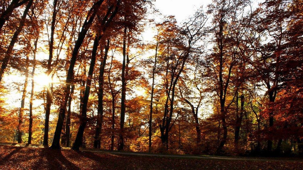 Herbst an der Isar