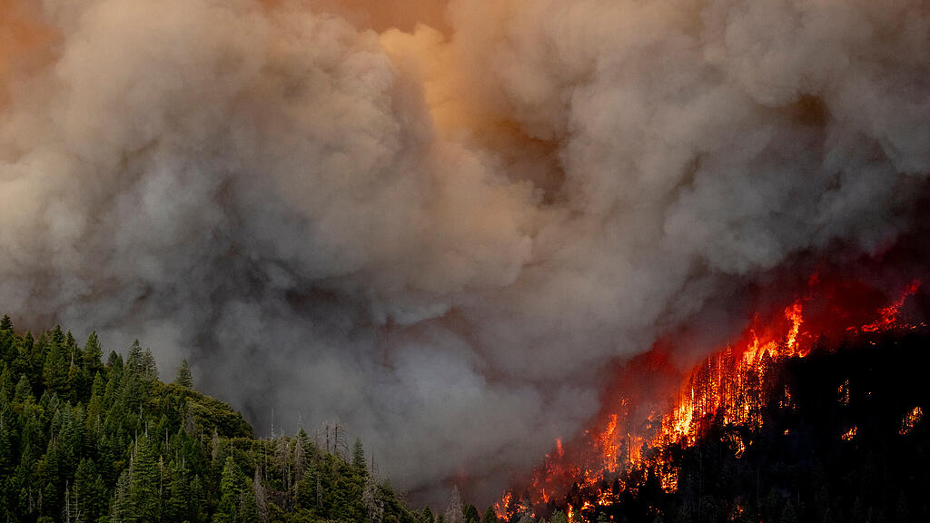 Waldbrand in Kalifornien