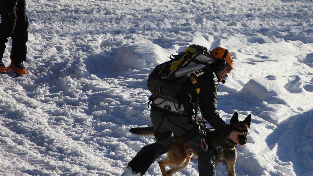 Superhunde im Einsatz