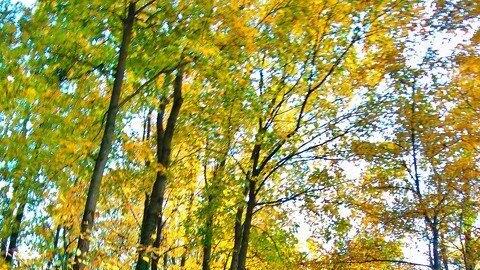 Goldener Oktober in Salzburg