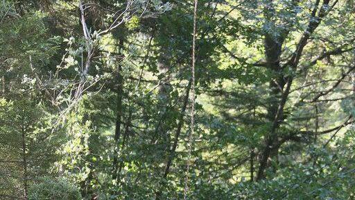 Wanderin stürzt auf Reiter Alpe in Bachbett