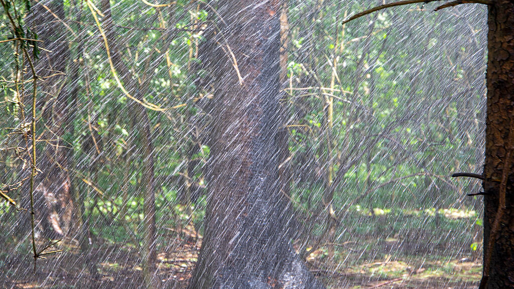 20200425_fmt_waldbrand_pabing_mw-6.jpg