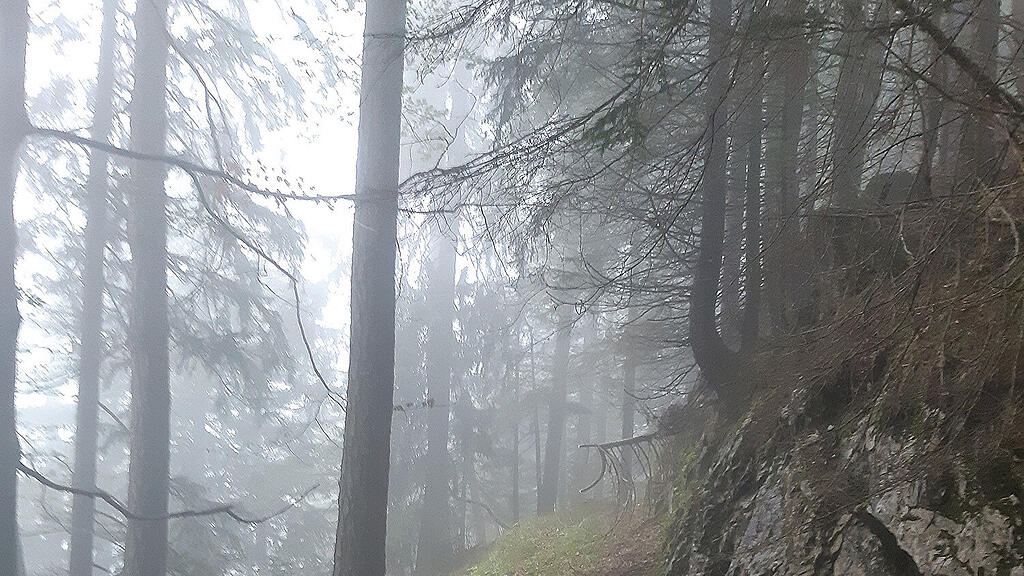 Suche nach Kleinflugzeug in Schneizlreuth