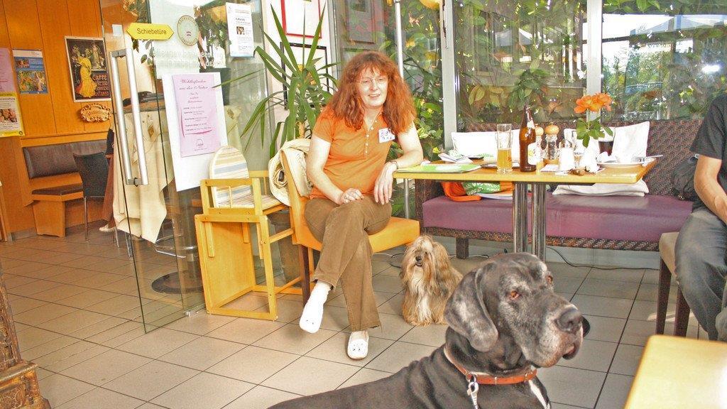 Körpersprache für den Hund: Der Workshop