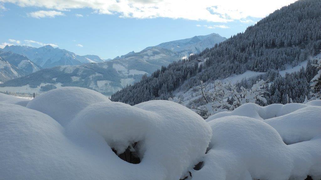 Eure schönsten Winterbilder I