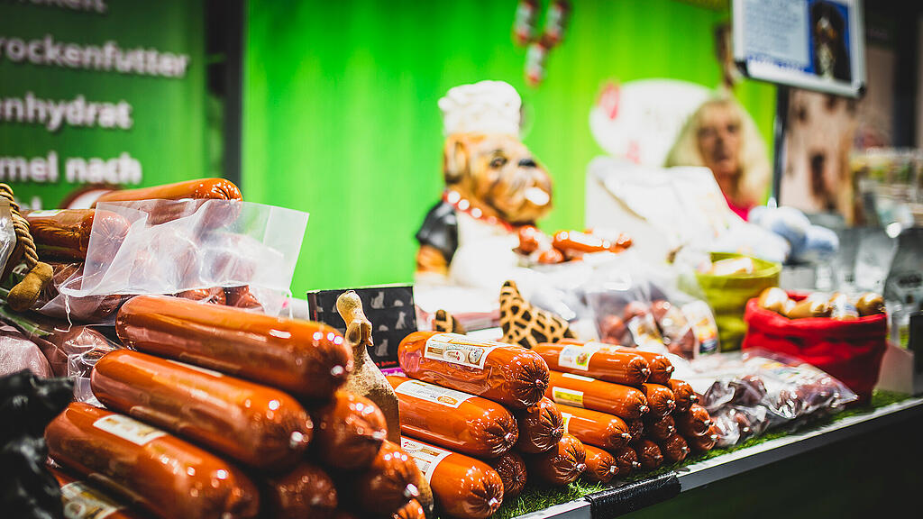 Rassehunde Ausstellung