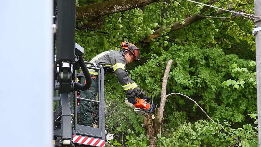 Baum fällt auf Stromleitung