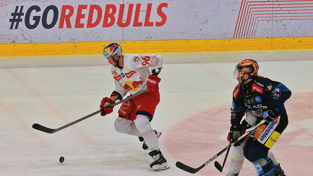 Red Bull Salzburg_Black Wings Linz