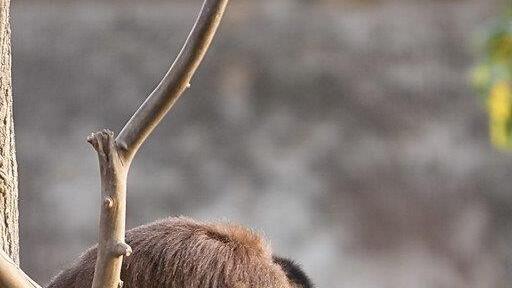 Bilder vom Nachtzoo