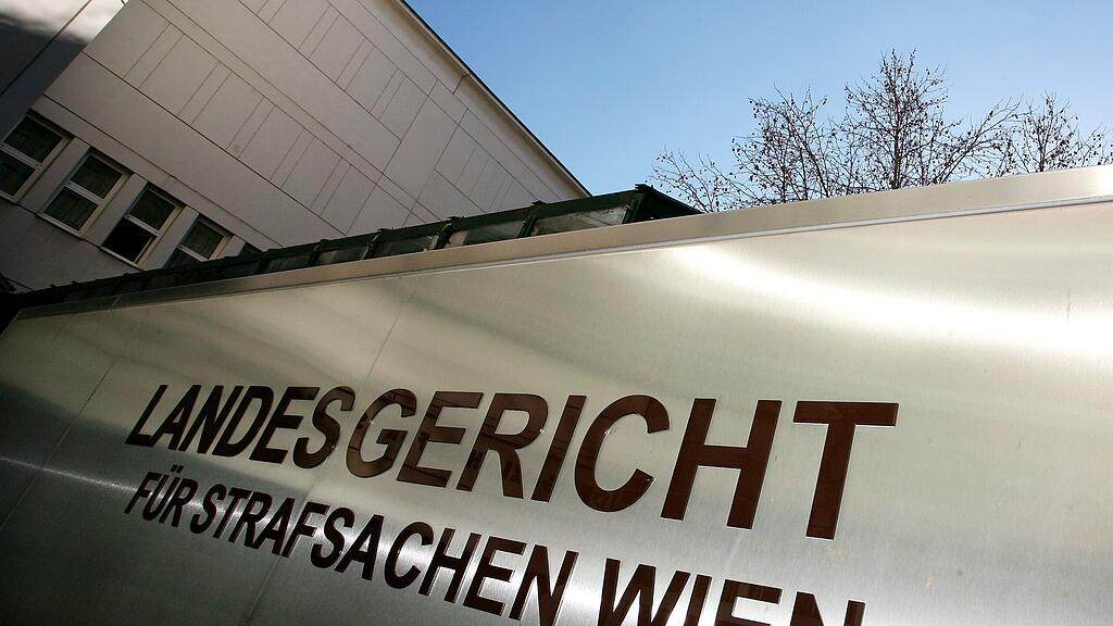 Der Mann ist zu sechs Jahren Haft verurteilt worden.