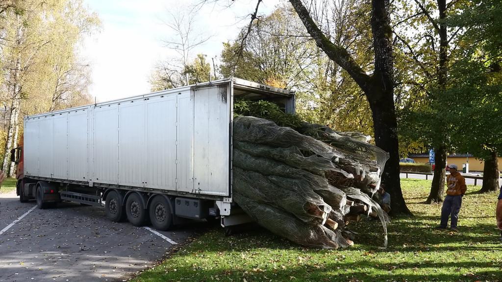 Hellbrunner Adventzauber: Aufbau