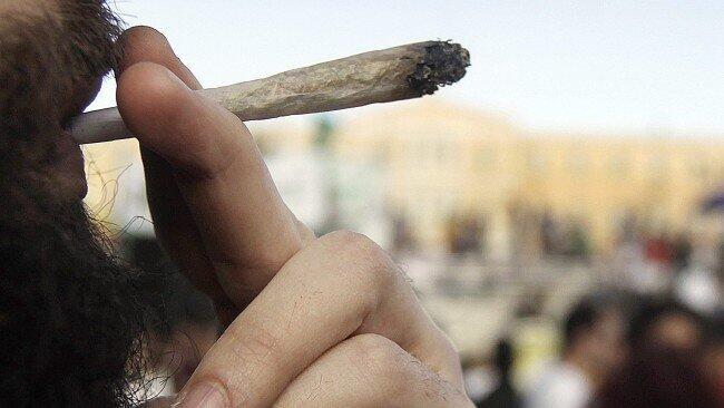 Experten gehen davon aus, dass bis zu 17 Prozent aller Österreicher Cannabis konsumieren.