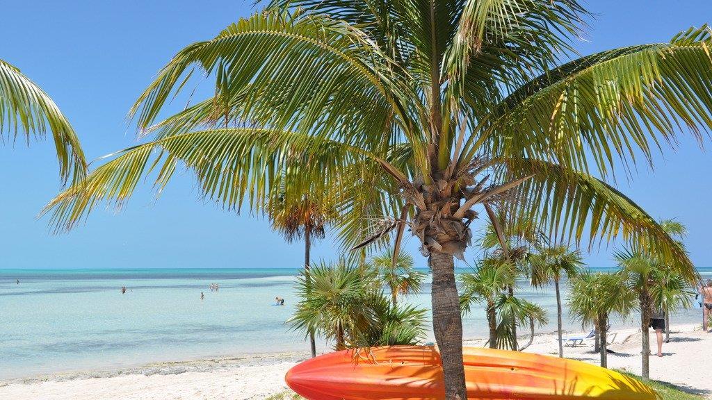 Promistrände: Urlauben wie der Jet-Set!