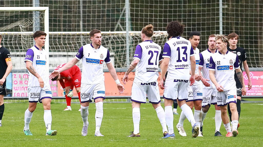 Salzburger Liga, Puch, Hallwang