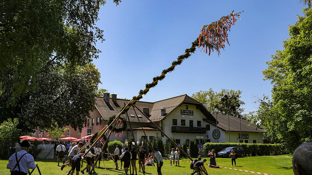 Maibaumaufstellen in Maxglan