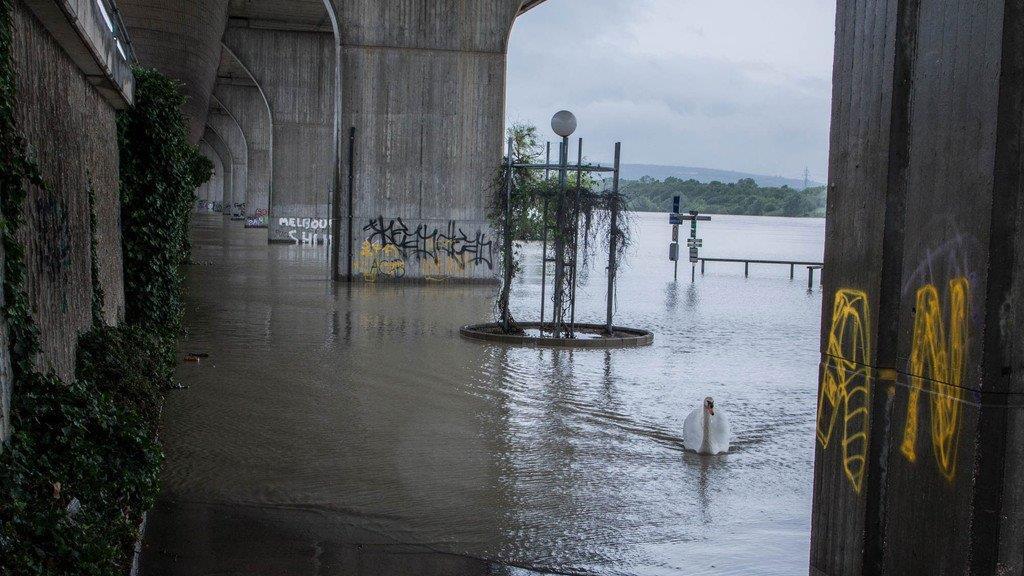 Hochwasser in Wien