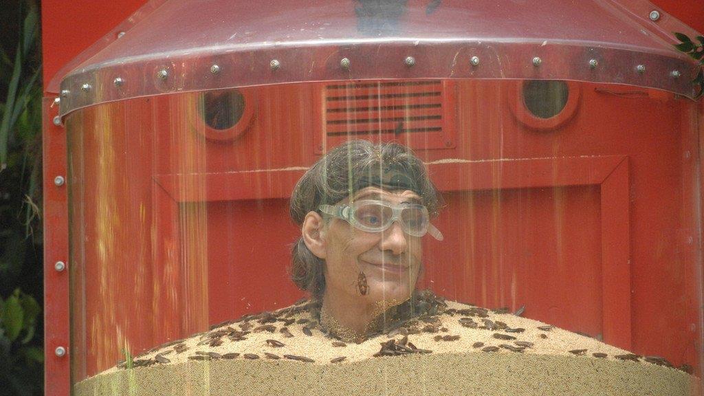 Dschungelcamp Tag 6: Larissa und Winfried in der Prüfung