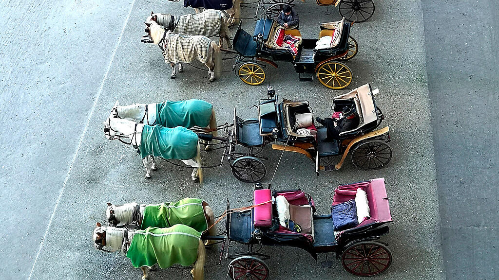 Fiaker Salzburg