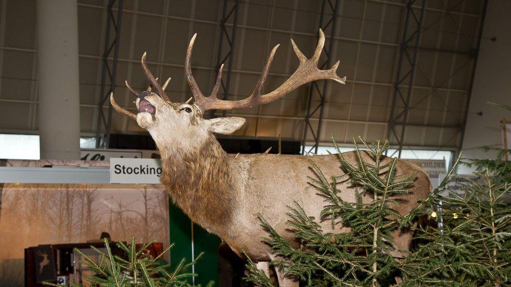"Hohe Jagd und Fischerei" im Messezentrum, Tag 1