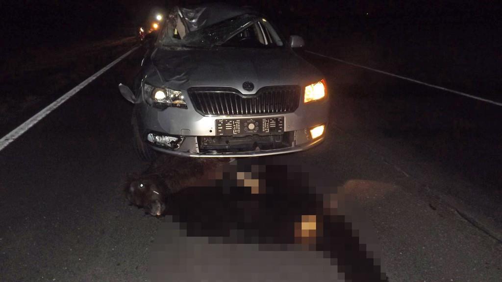 Zwei Pferde bei Unfall getötet