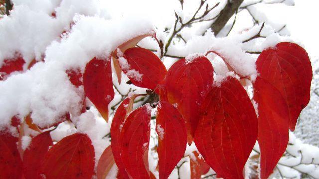 So schön kann der Winter sein