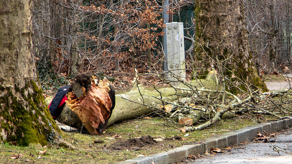 Sturm Salzburg