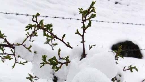 Schnee in Mühlbach/Hochkönig