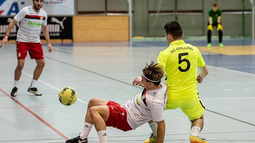 Salzburger Stier: Gruppe D
