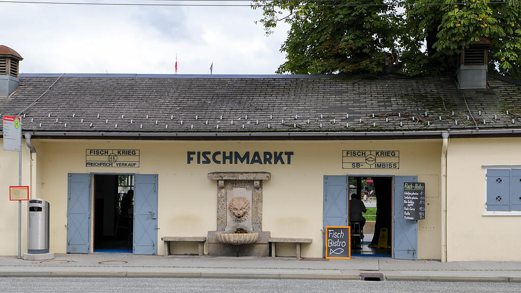 Fischkrieg Hanuschplatz