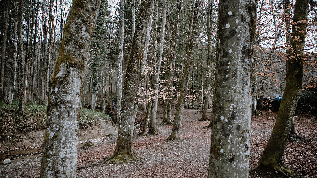 Nachmittagsspaziergang Hexenloch