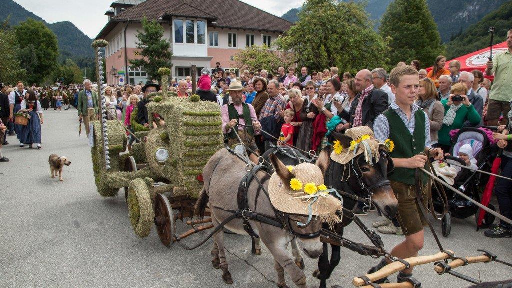 HeuART-Fest in Scheffau I