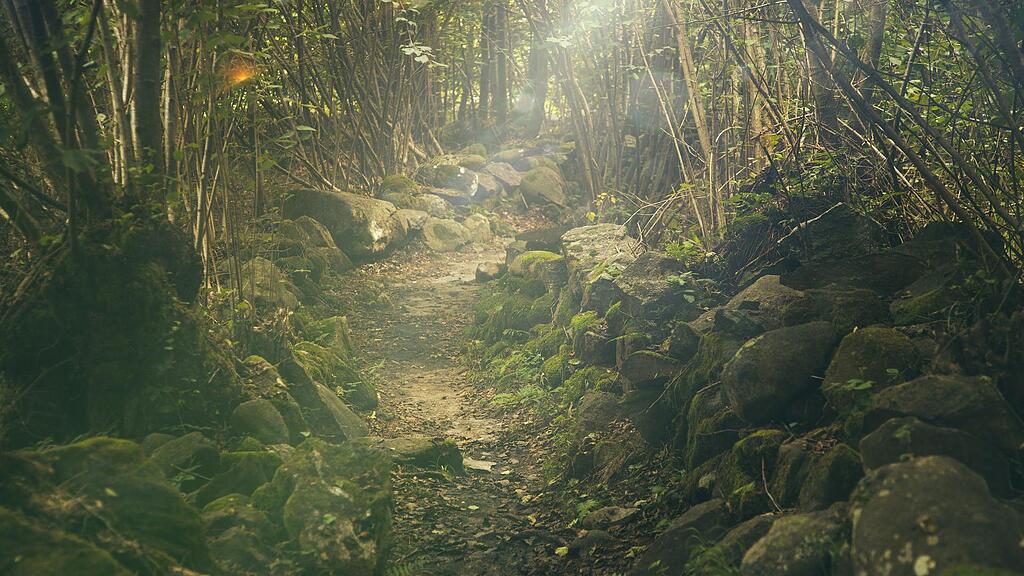 symb_natur symb_schlucht symb_wald symb_felsen