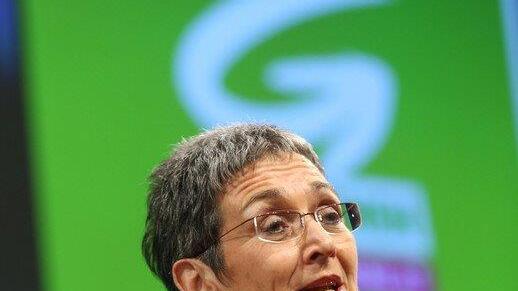 Grünen-Wahl in Salzburg