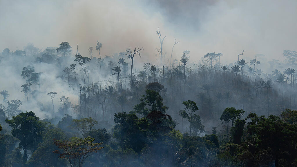 Amazonas, Brasilien, Feuer