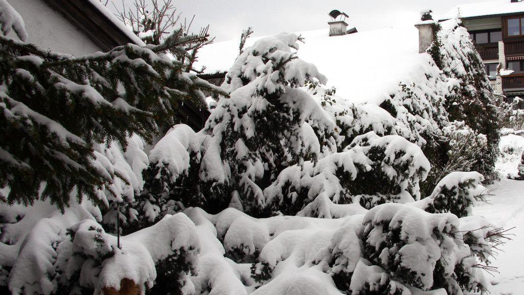 Wintereinbruch im Flachgau