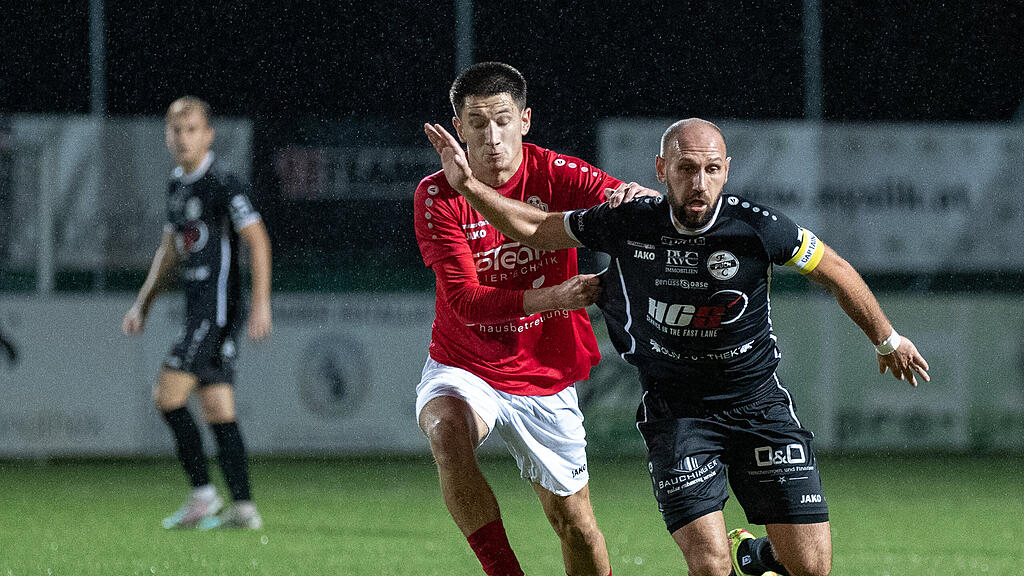 UFC Hallein - Puch