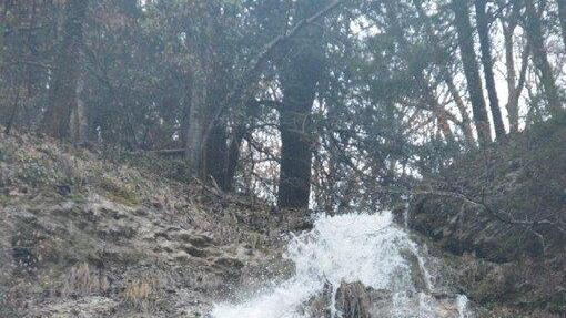 Glasenbachklamm: Hoher Pegel