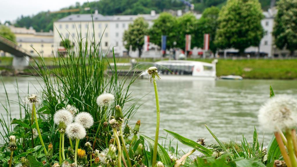 Radfrühling