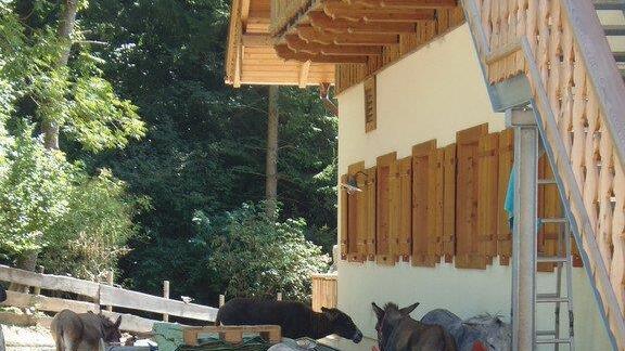 Impressionen der Tiere