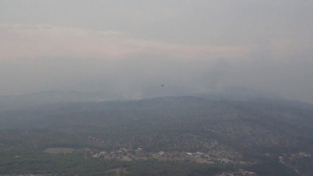 Waldbrand in Athen: Tag 2