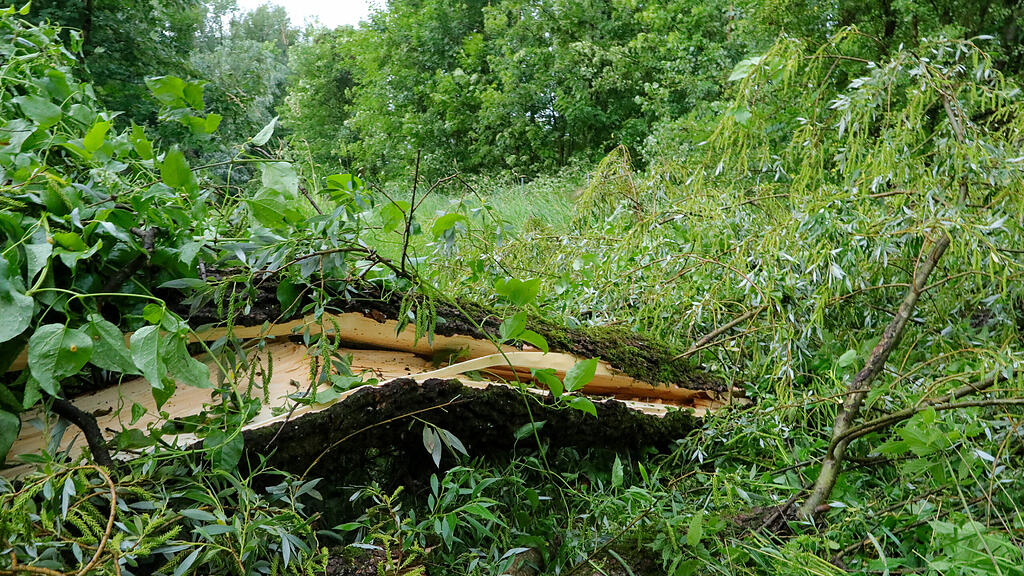 Unwetter-Schäden in Salzburg