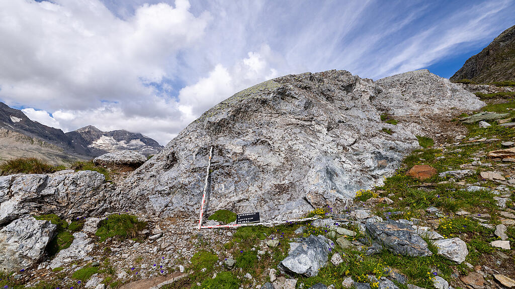 Meldungsliste(28)_16.jpg