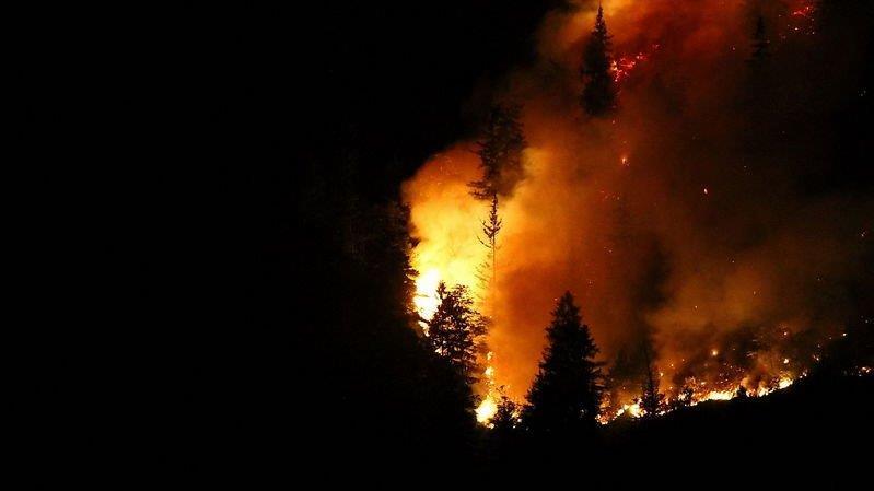 Waldbrand am Thumsee
