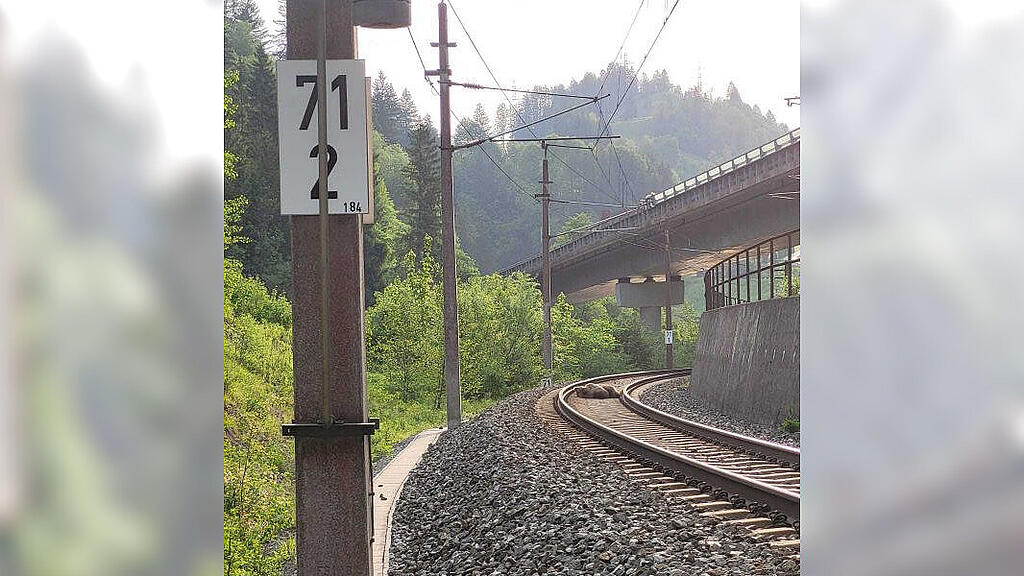 Toter Bär auf Gleisen zwischen Lend und Schwarzach