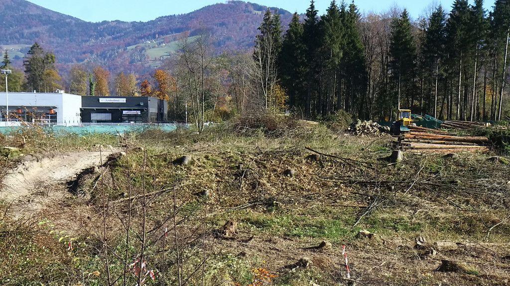 MACO: Erweiterungsareal gerodet