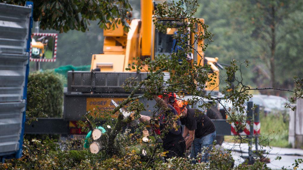 Unwetter: Aufräumarbeiten in Rif