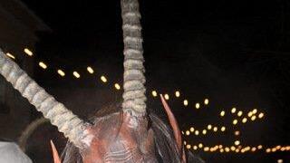 Mehr Pics vom Krampuslauf Oberndorf