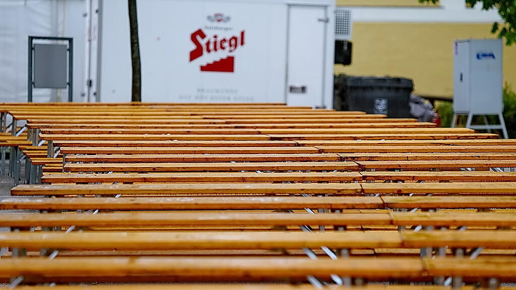 Stiegl, Maibaum
