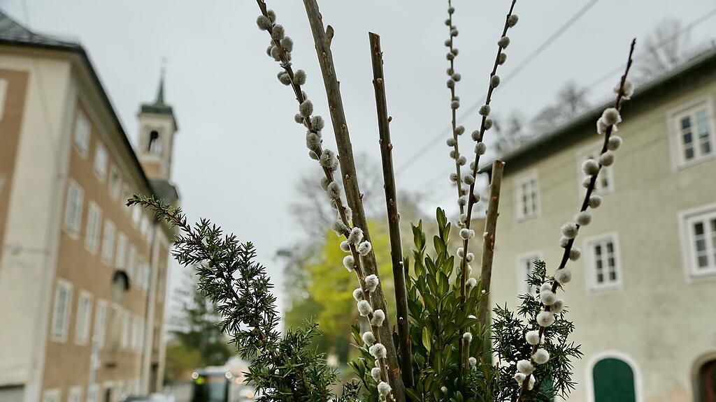 Palmbuschenweihe Dom und Michaelskirche
