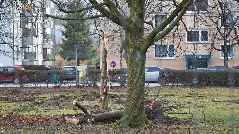 Abrissarbeiten haben begonnen